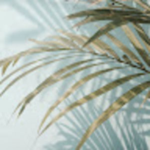 Meet your Posher, Toni